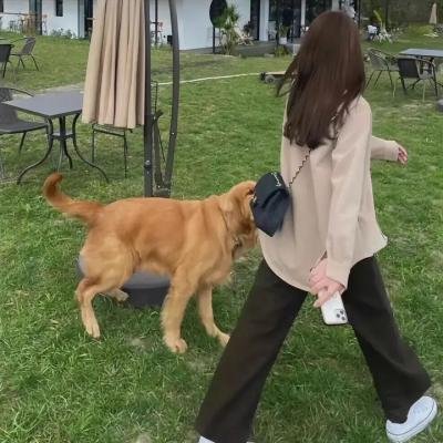 戈德堡一家第七季